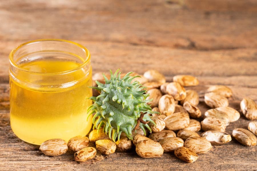 Castor Oil and its benefits