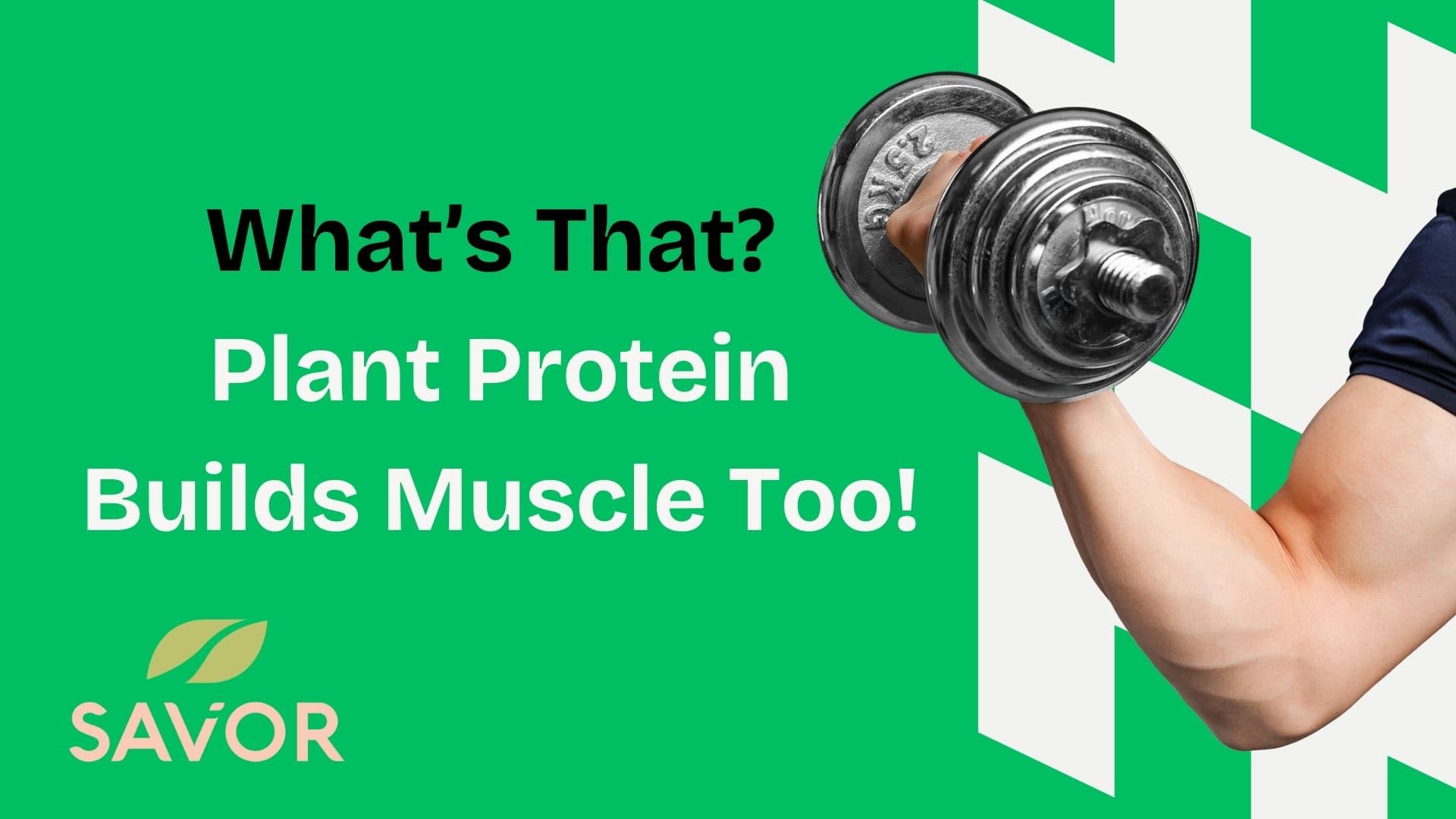 What’s That? Plant Protein Builds Muscle Too!