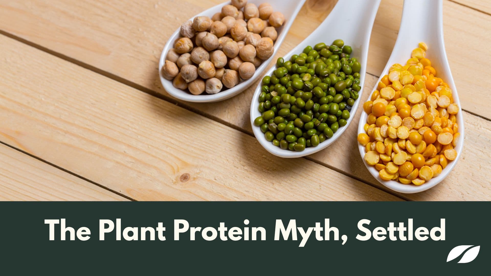 The Plant Protein Myth Settled