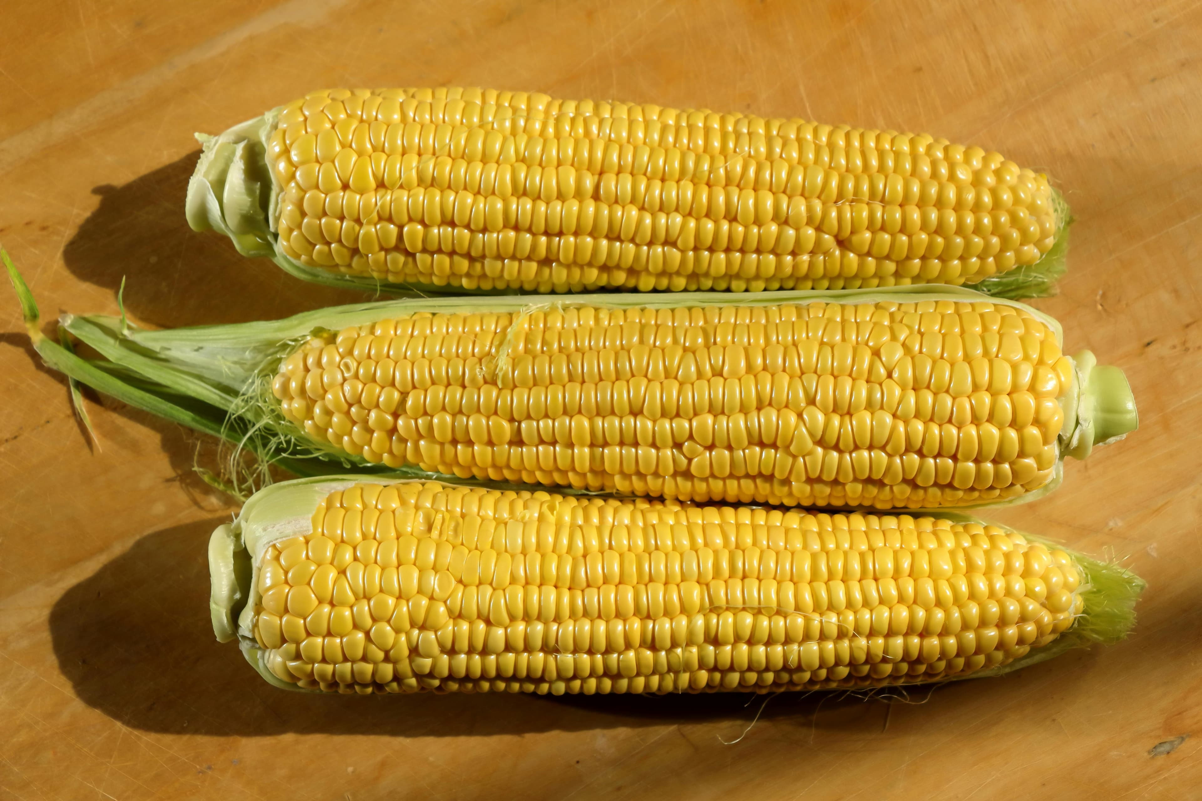 pexels-msaimakin-34205950