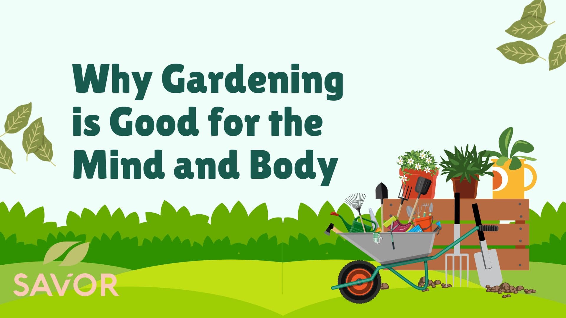 Why Gardening is Good for the Mind and Body