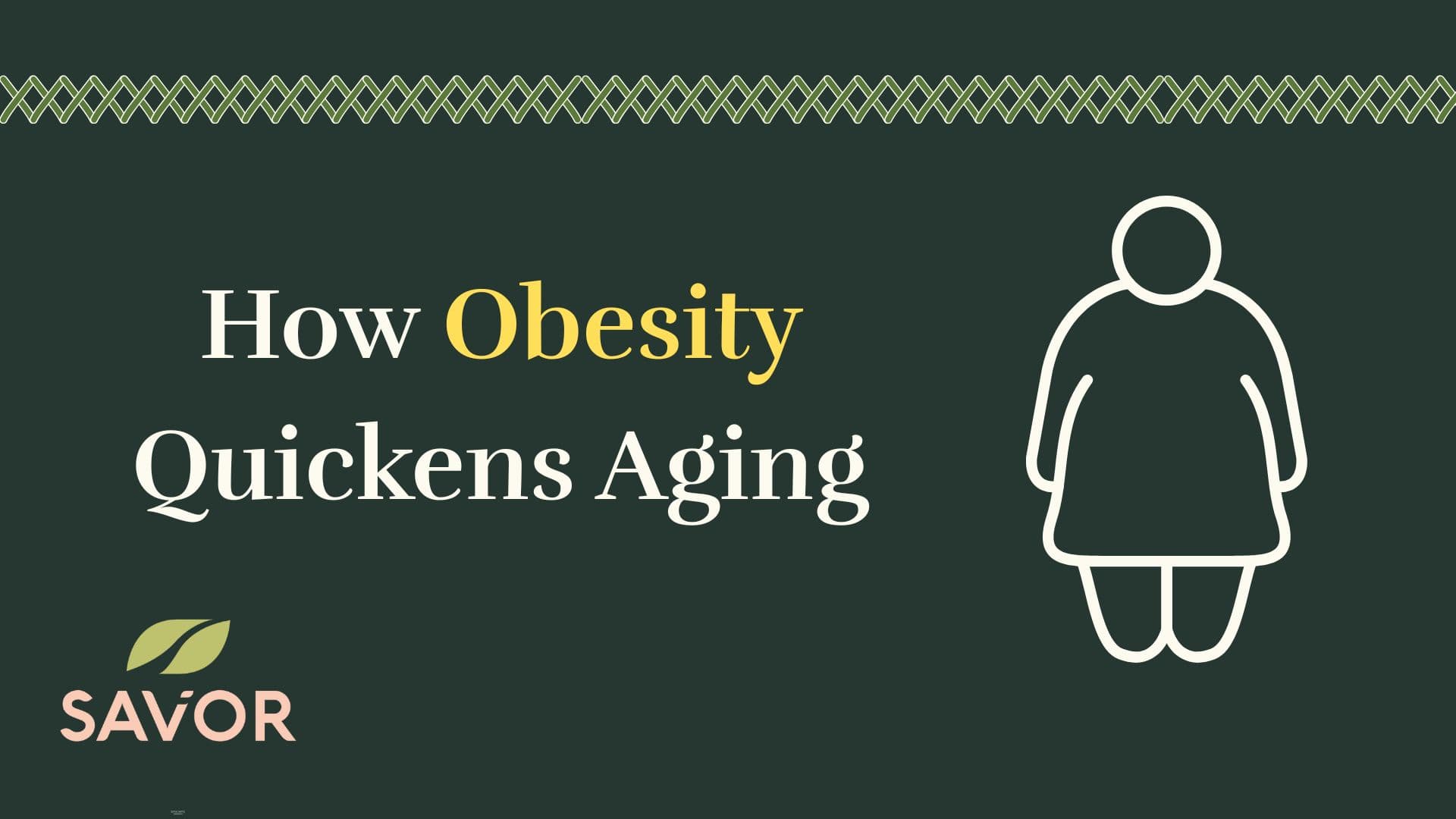 How Obesity Quickens Aging