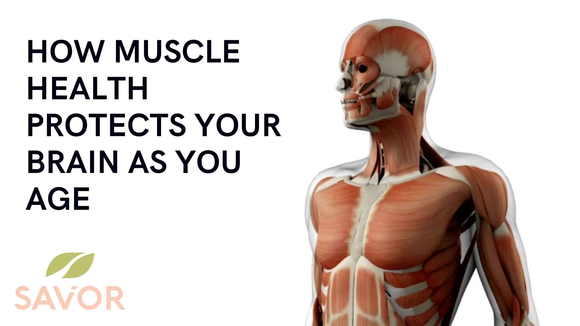 How Muscle Health Protects Your Brain as You Age