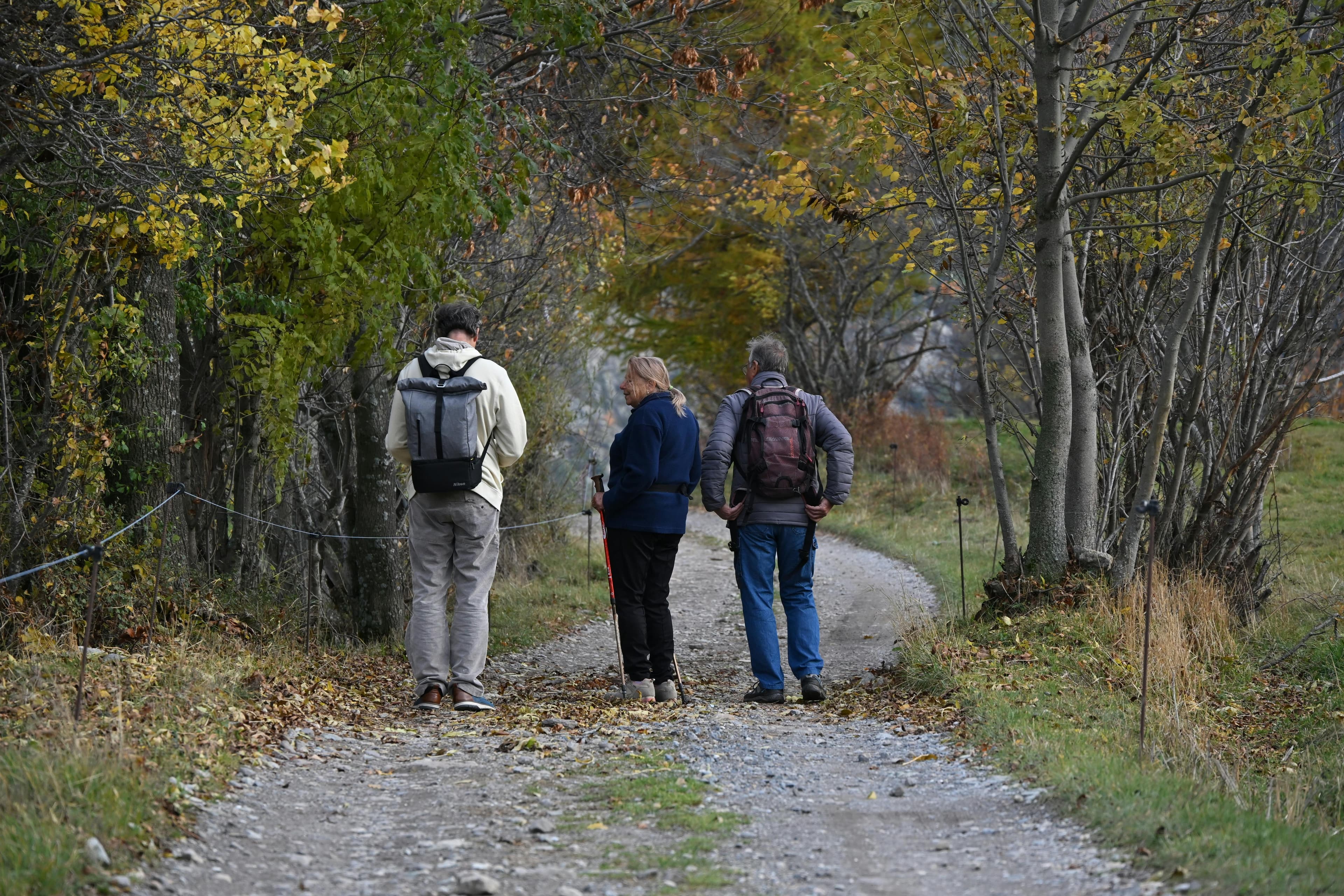 pexels-jean-francois-frenel-2157629552-34845154