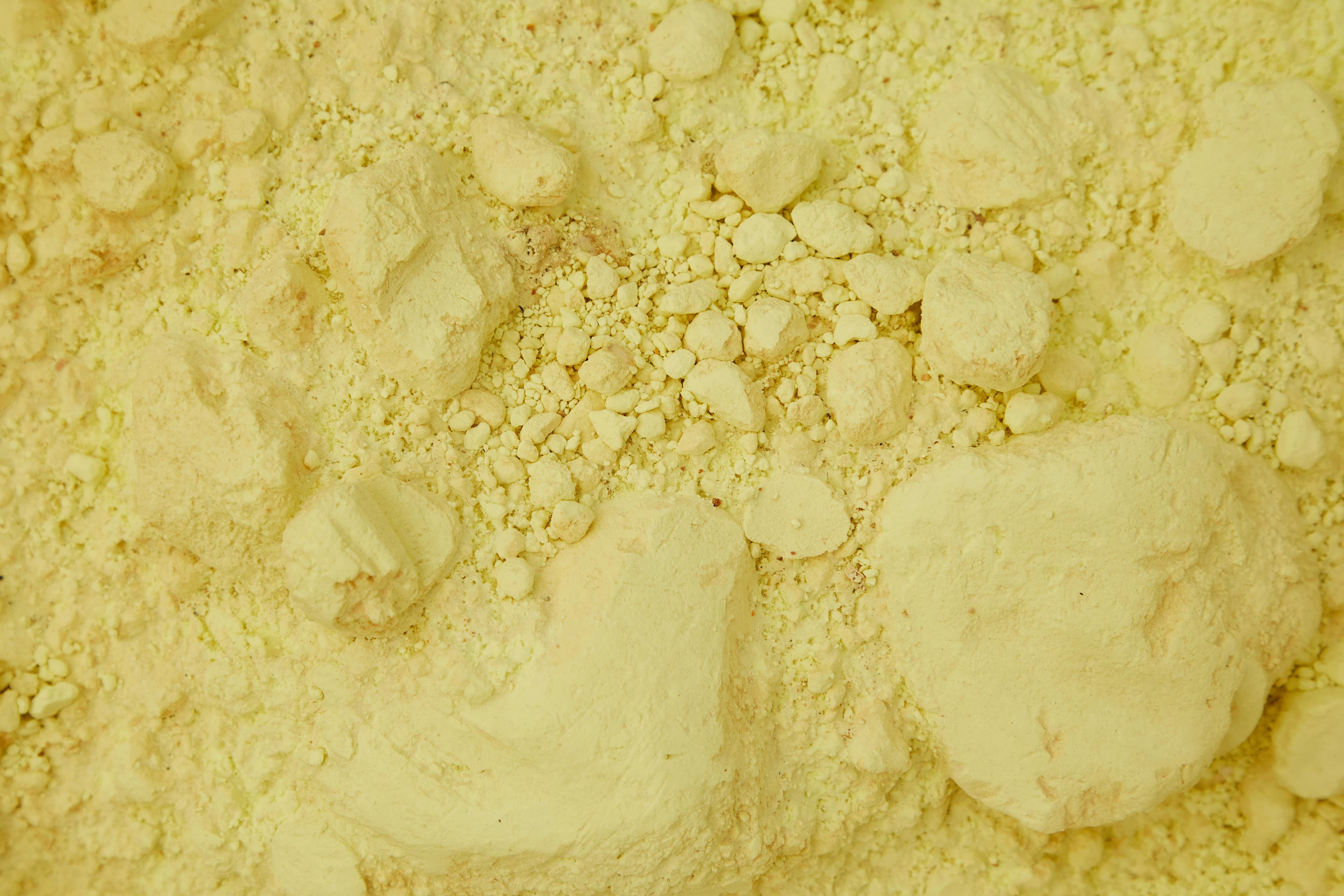 pexels-laker-6156544