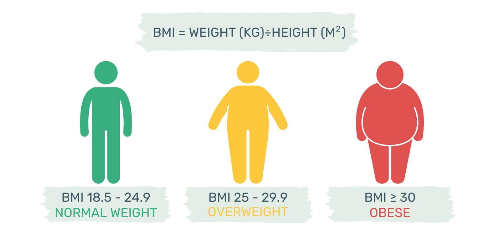 Obese Blog - BMI