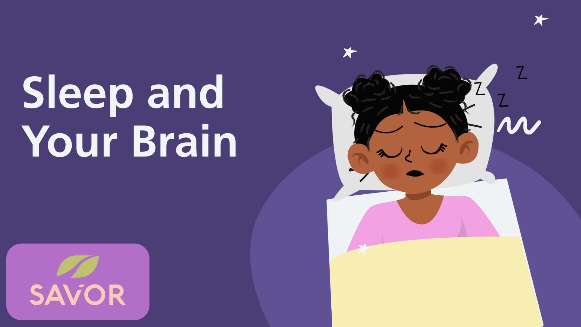 Sleep and Your Brain