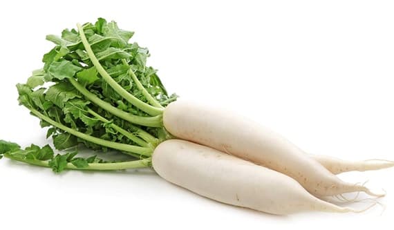 daikon-radish