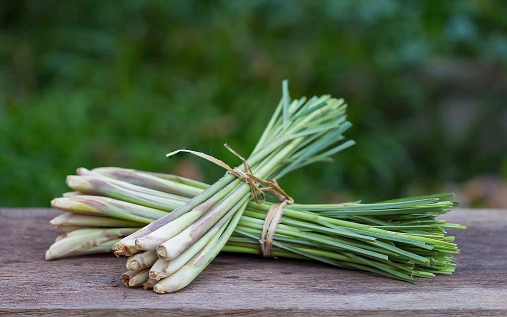 TPS - 1024 X 640 px 28-07 copy f