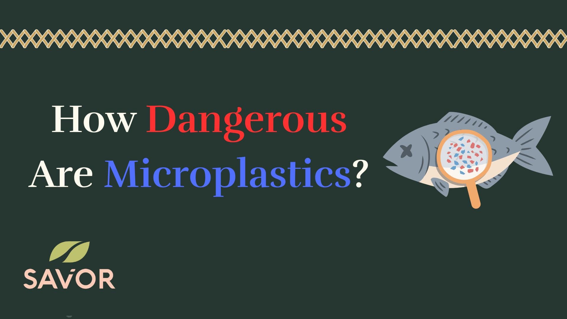 How Dangerous Are Microplastics?